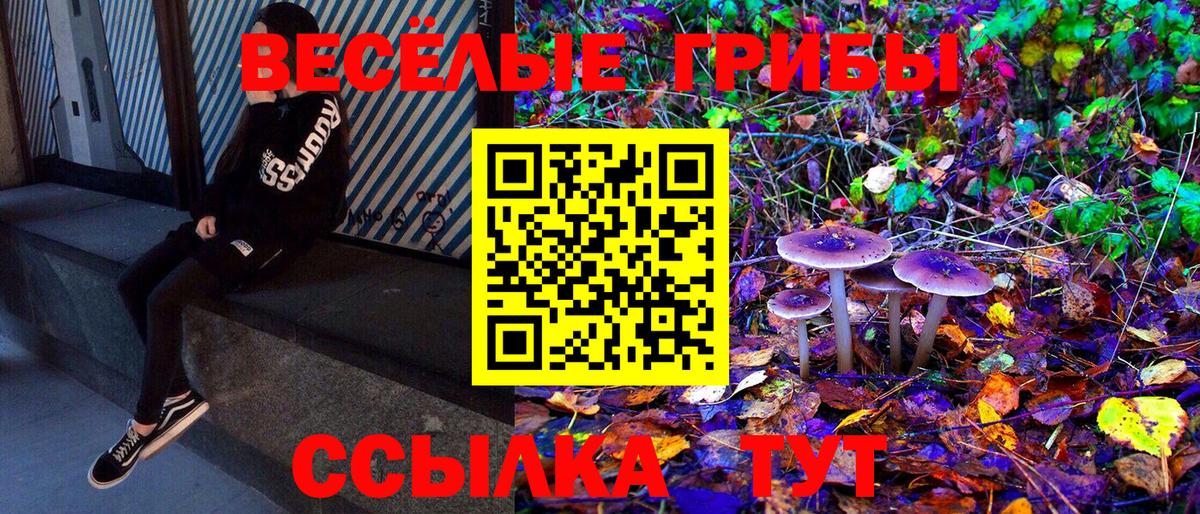Галлюциногенные грибы MAGIC MUSHROOMS Шатура