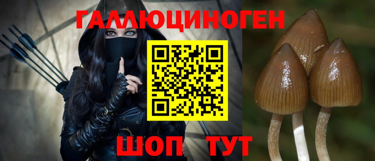 Шатура  Псилоцибиновые грибы мухоморы  Вход с VPN 